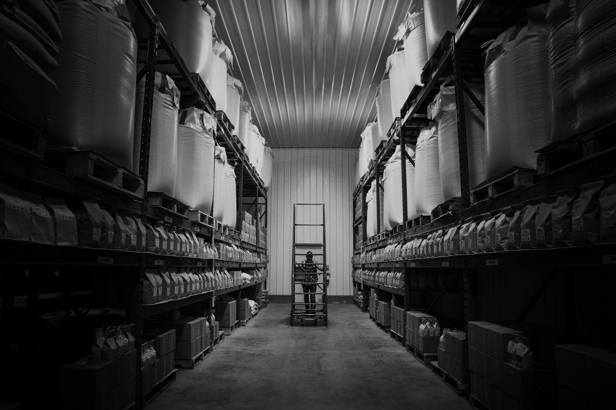 A tall racking aisle in a warehouse, seen in one-point perspective.